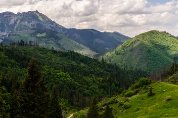 Fototapeta na wymiar Tatra mountain during summer time