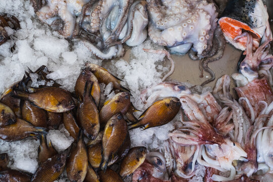 Counter full of seafood in the fish market