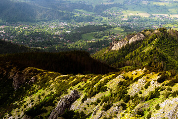 Obraz premium Tatra mountain during summer time