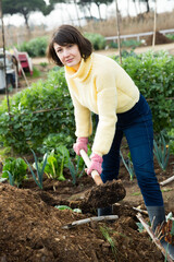 Female gardener digging in garden with spade