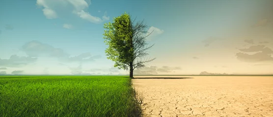 Foto op Aluminium Climate change from drought to green growth © appledesign