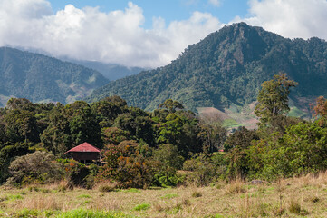 Fototapeta na wymiar Nature scenery in Cerro Punta located in the Chiriqui province of Panama. Cerro punta is an important agricultural area.