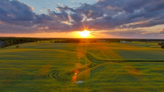 Amazing sunset sky over rural corn fields in the Midwest, dynamic moving aerial perspective.

