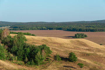 Fototapeta premium Landscape of fields and hills with trees. View from the mountain.