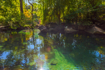 Alupkinsky Park (also known as Vorontsov Park)