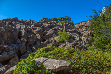 Alupkinsky Park (also known as Vorontsov Park)