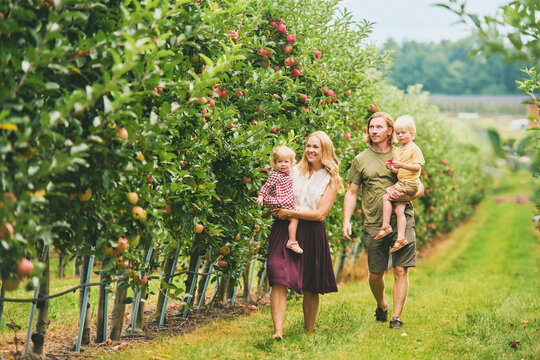 Outdoor portrait of happy young family with two little children enjoying good time in apple orchard