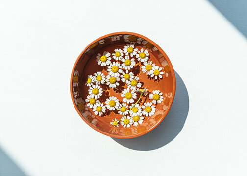 Chamomile flowers in ceramic bowl