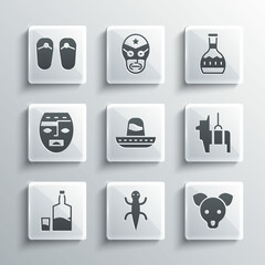 Set Lizard, Dog, Pinata, Mexican sombrero, Tequila bottle and glass, Aztec mask, Flip flops and icon. Vector