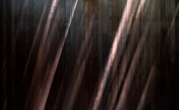 Close-up of the wooden wall in the backyard under sunlight
