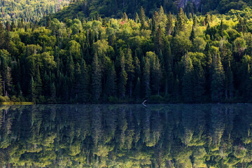 Laurentian Mixed Forest in early autumn