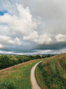 Footpath through wild meadow.
