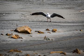 motorcycle roadtrip to a beach in the north of Lima