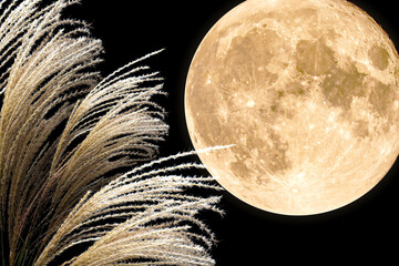 満月とススキ（十五夜／中秋の名月のイメージ素材）