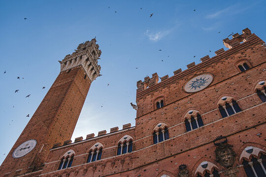 Public Palace Town Hall of Siena, Italy