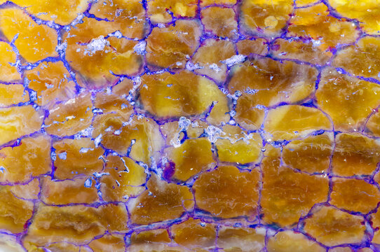 Dragon Vein Agate Purple Cells  