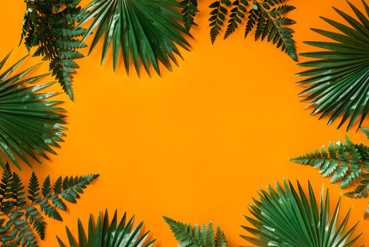 Green Leaves Arranged With Orange Background