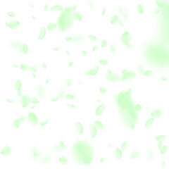 Green flower petals falling down. Emotional romant