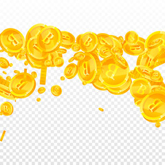 Thai baht coins falling. Elegant scattered THB coins. Thailand money. Tempting jackpot, wealth or success concept. Vector illustration.