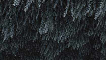 Texture of blue flora