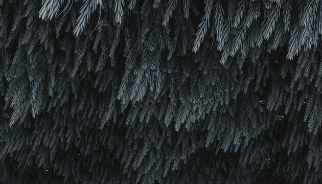 Texture of blue flora