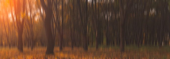 blurry nature concept panoramic landscape background photography of dramatic autumn season in...