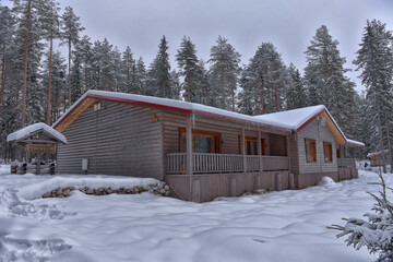 log cabin in a pine forest in winter