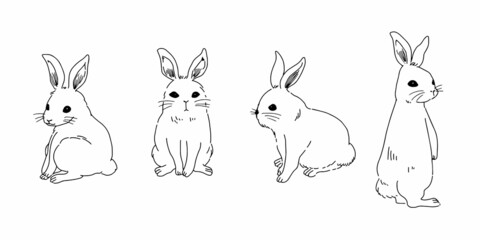 線画のみのシンプルなうさぎ