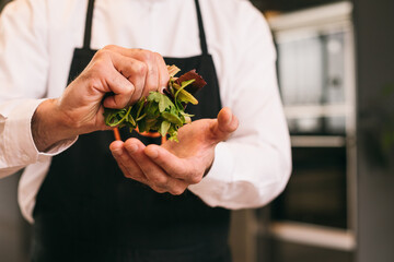 Crop chef pressing herbs 