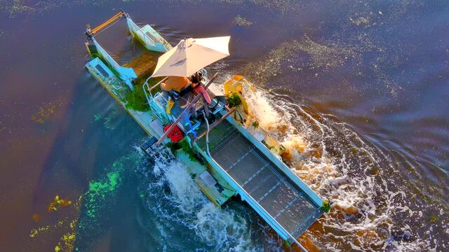 Algae and seaweed skimming boat machine attempting to keep-up with climate change.
