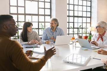 Businesspeople having a meeting in the office 