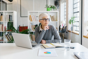 Portrait of a senior businesswoman working in office