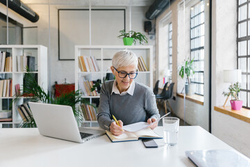 Portrait of a senior businesswoman working in office 