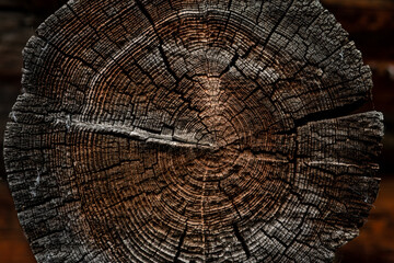 Fototapeta premium end of an old log in a wooden building structure