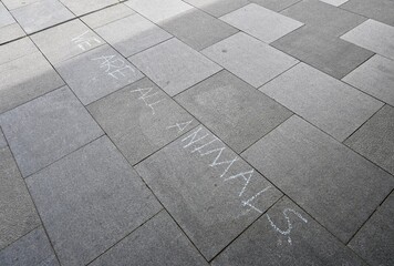Grey sidewalk with words 'WE ARE ALL ANIMALS' written on the paving stones in chalk