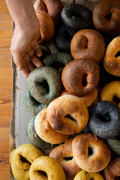 Vegetal  Fresh Made Bagels