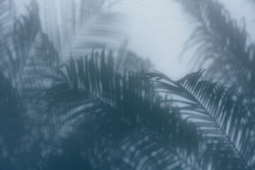 Moody abstract palm leaf shadows