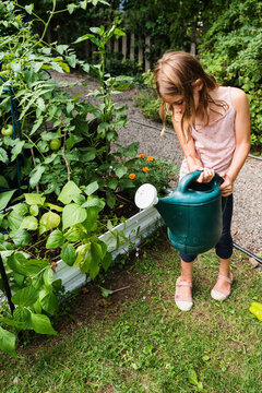 Little Girl Using Watering Can by Raised Vegetable Bed