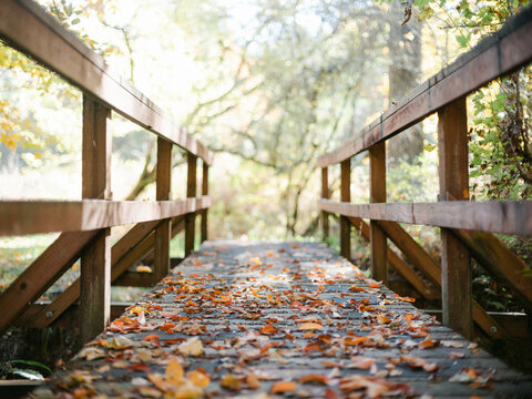 Old red wood bridge covered in fallen leaves