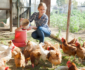 Young woman farmer caring for poultry. High quality photo - obrazy, fototapety, plakaty