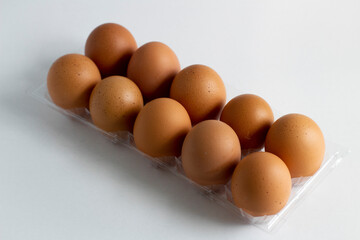 Ten eggs in the egg holder on a white background