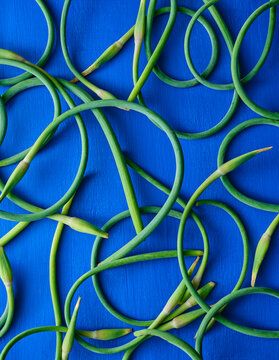Scapes