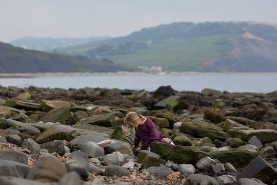 Fossil Hunting on the Jurassic Coast.