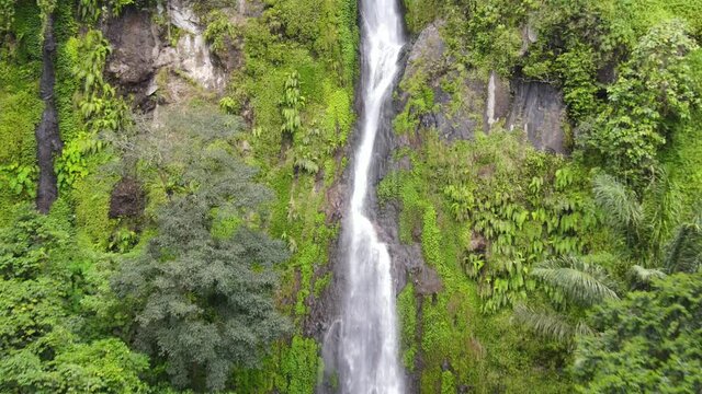 Wonderful nature. Flying back away from a high waterfall in a tropical forest. Java, Indonesia