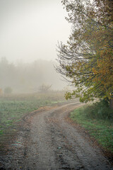 Strong fog and country road