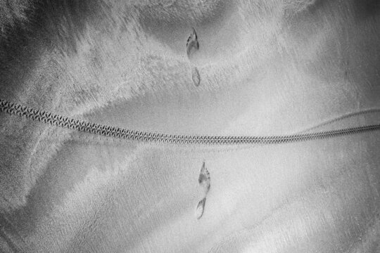 Bicycle footprint between footprints.