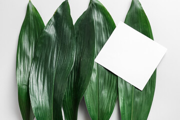Blank card and green leaves on white background