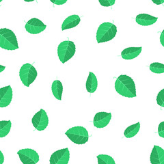 Seamless pattern with mint leafs on white background