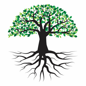 Summer tree with root. Green leaf. Design spring tree illustration. Nature background. Vector illustration. Stock image.