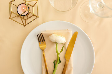 Stylish table setting and ranunculus flower on color background